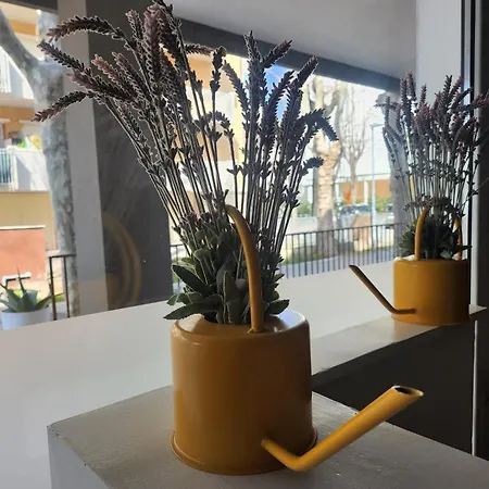 Crisvan Hotel Bellaria-Igea Marina