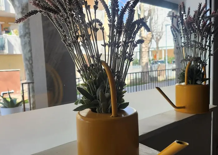 Crisvan Hotel Bellaria-Igea Marina