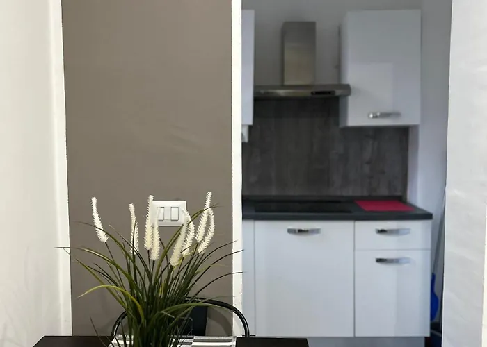 Crisvan Hotel Bellaria-Igea Marina